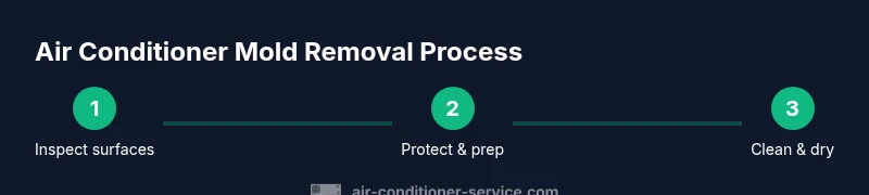 Process diagram showing steps for air conditioner mold removal