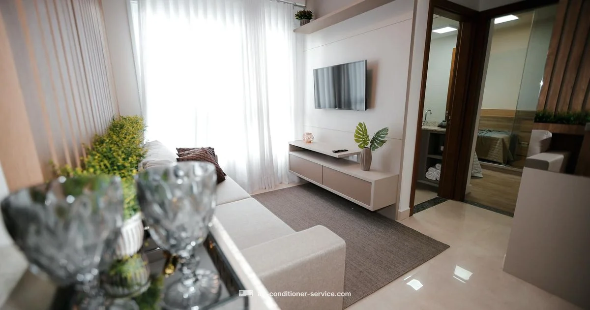 24k BTU Mini Split - Air Conditioner Service