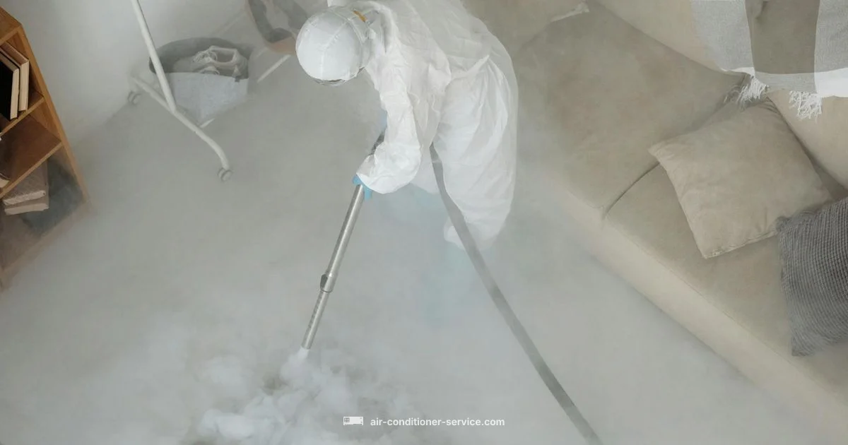 AC Mold Cleanup Guide - Air Conditioner Service