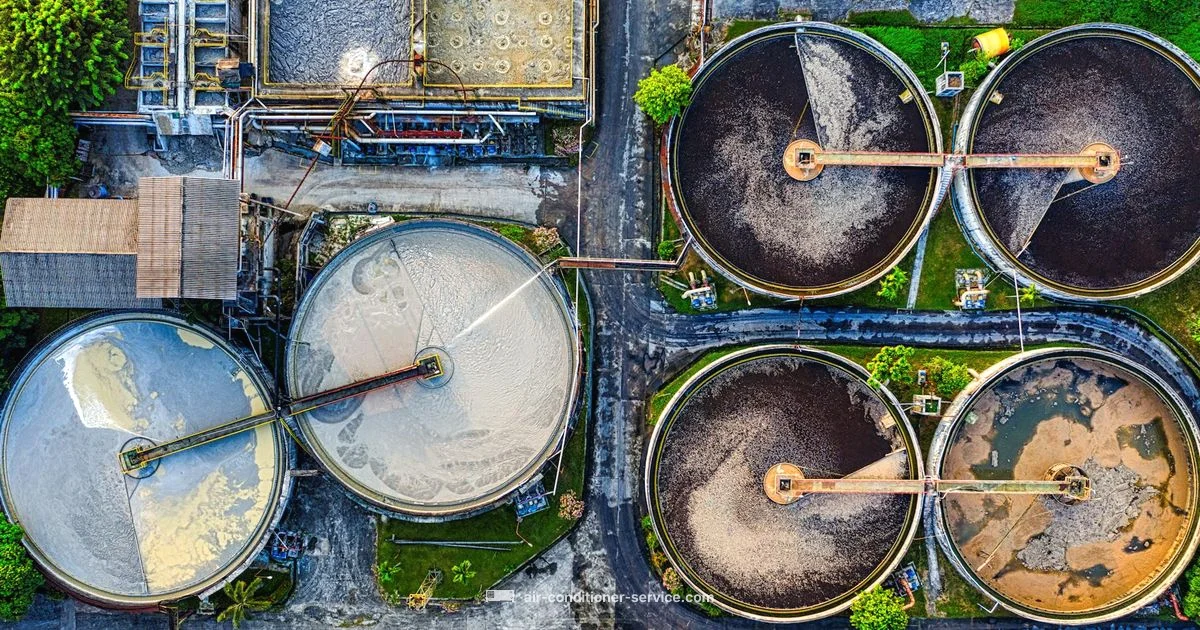 AC Condensate & Plants - Air Conditioner Service