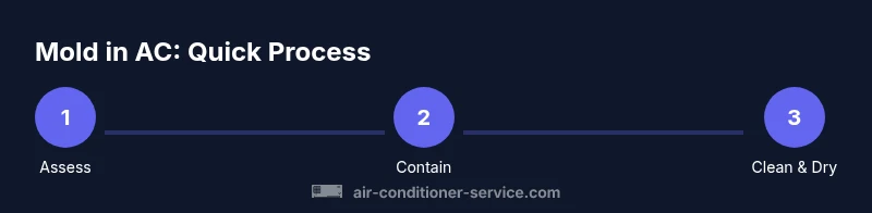 Infographic showing mold remediation steps in an air conditioner