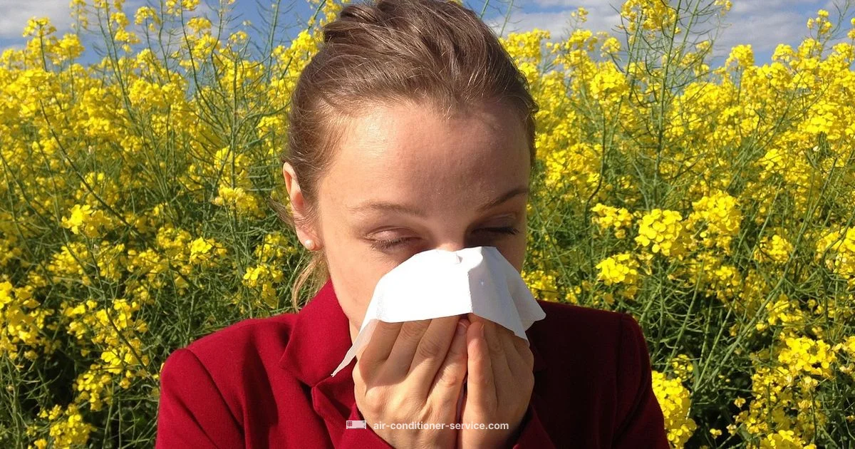 AC Allergy Guide - Air Conditioner Service