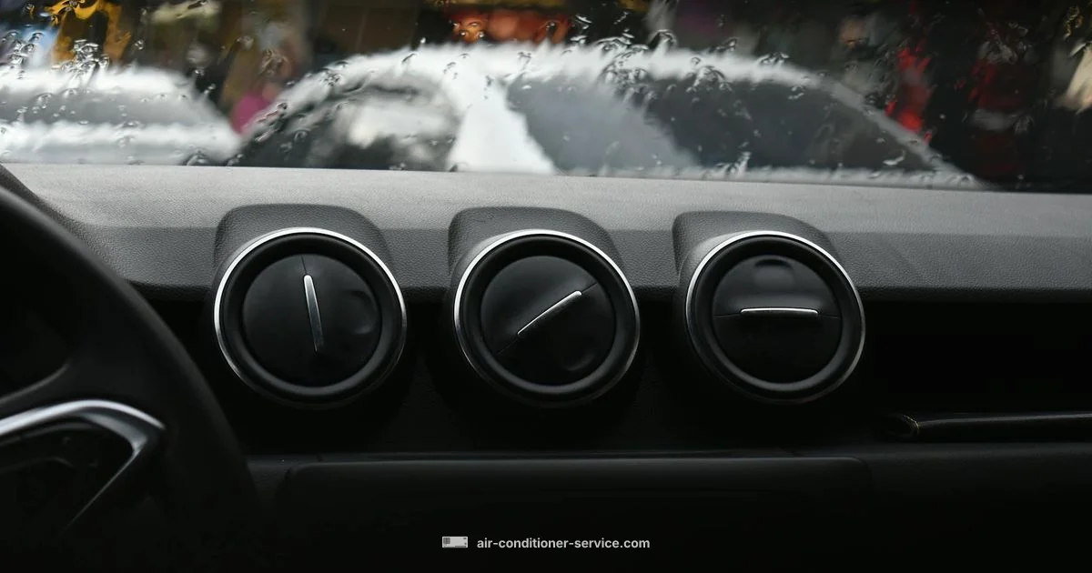 Clean Car AC - Air Conditioner Service