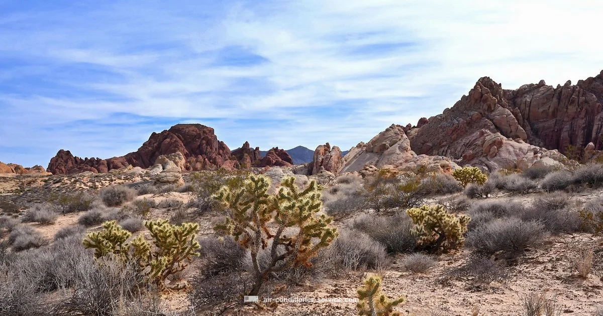 Desert Cooling Solutions Desert Cooling Solutions - Air Conditioner Service