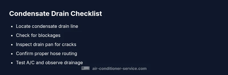 Infographic checklist for condensate drain and water leaks in car A/C