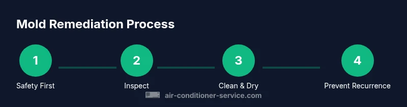 Process infographic showing safety, inspection, cleaning, and prevention for mold in AC
