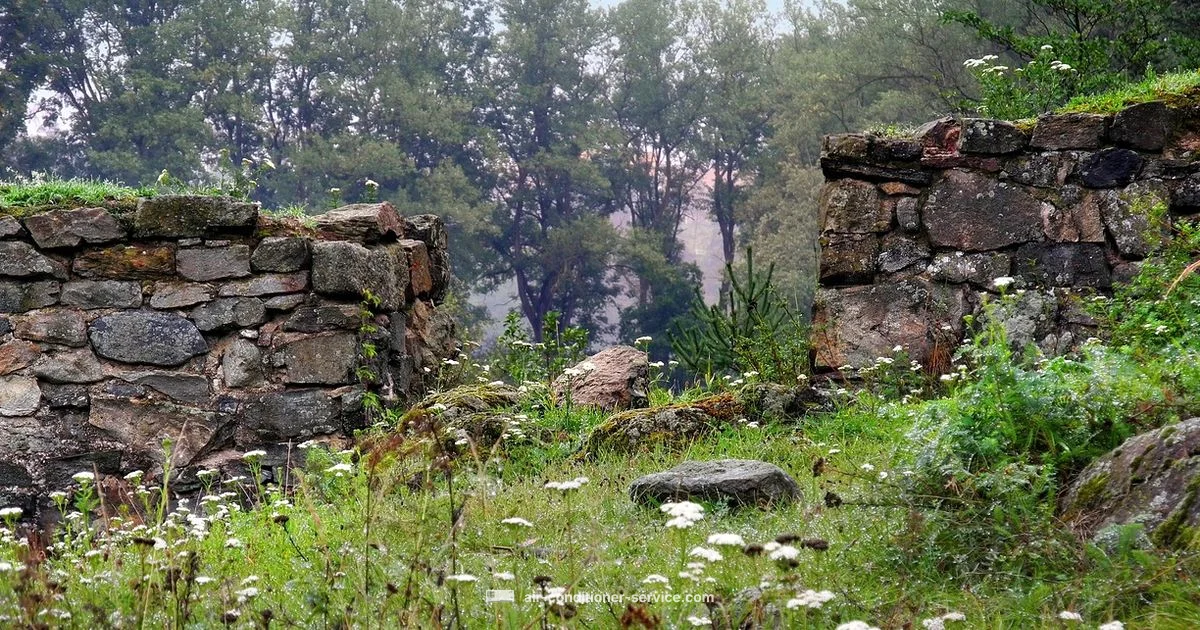 Freon Aircon Guide - Air Conditioner Service