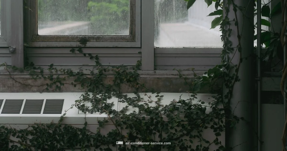 Window vs Portable - Air Conditioner Service