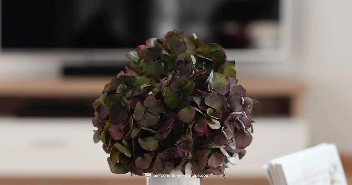 Cooling Choices - Air Conditioner Service