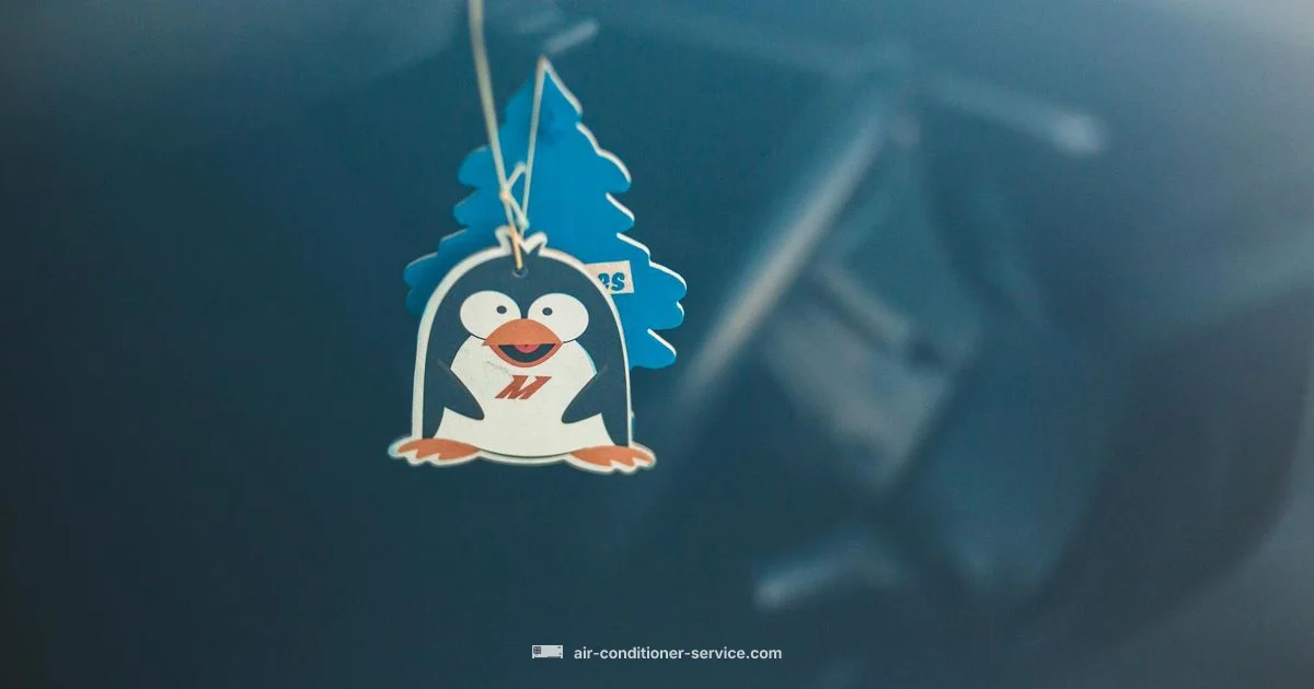 Car A/C Odor Fix Car A/C Odor Fix - Air Conditioner Service