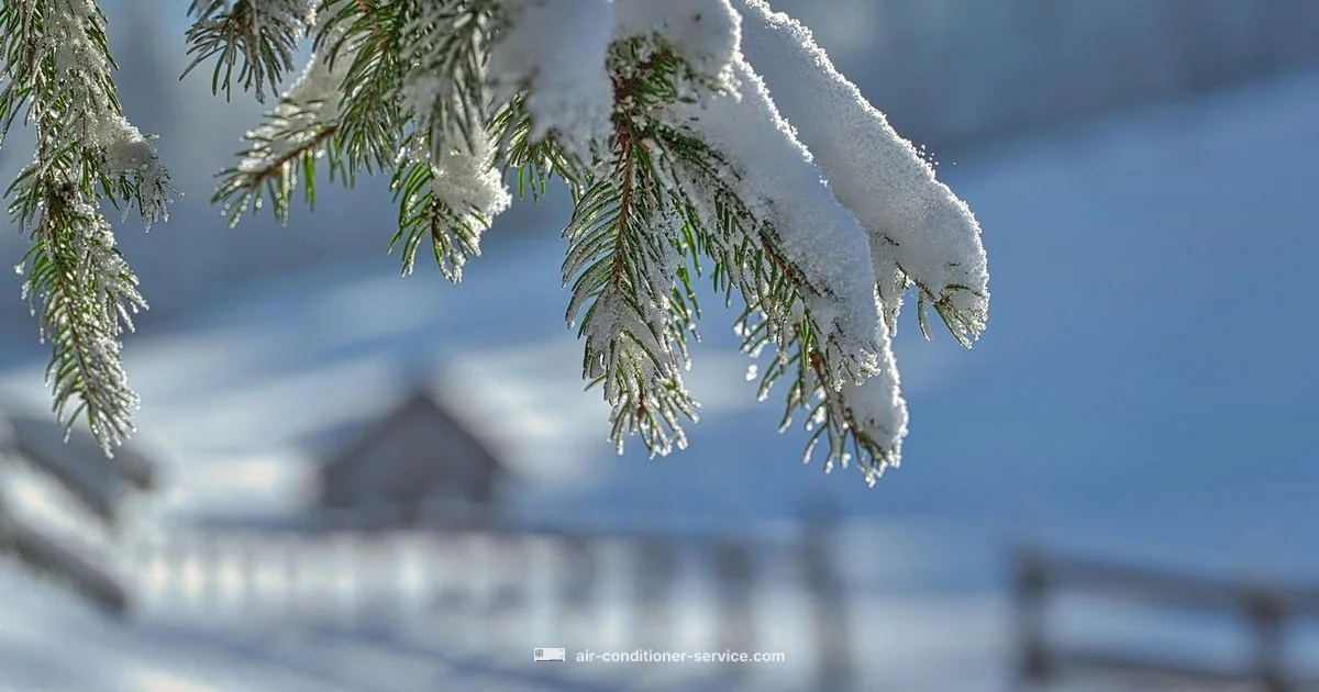 Winter AC Use Winter AC Use - Air Conditioner Service