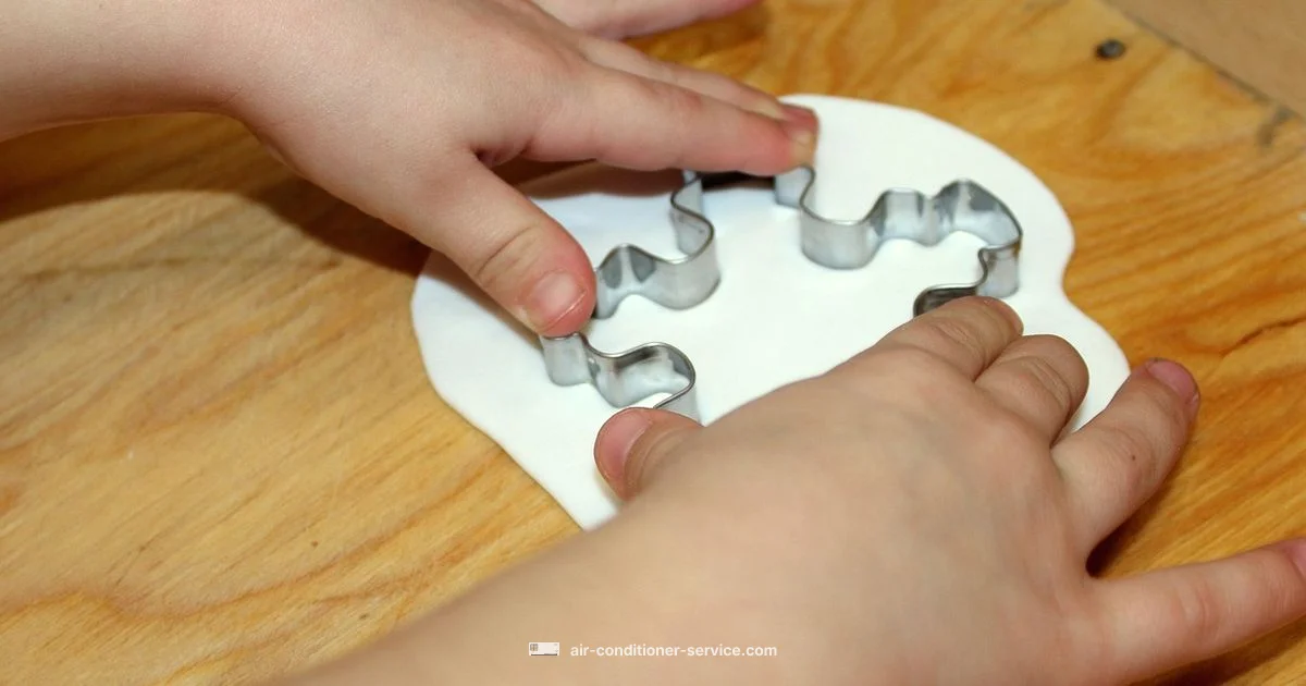 AC Mold Guide - Air Conditioner Service