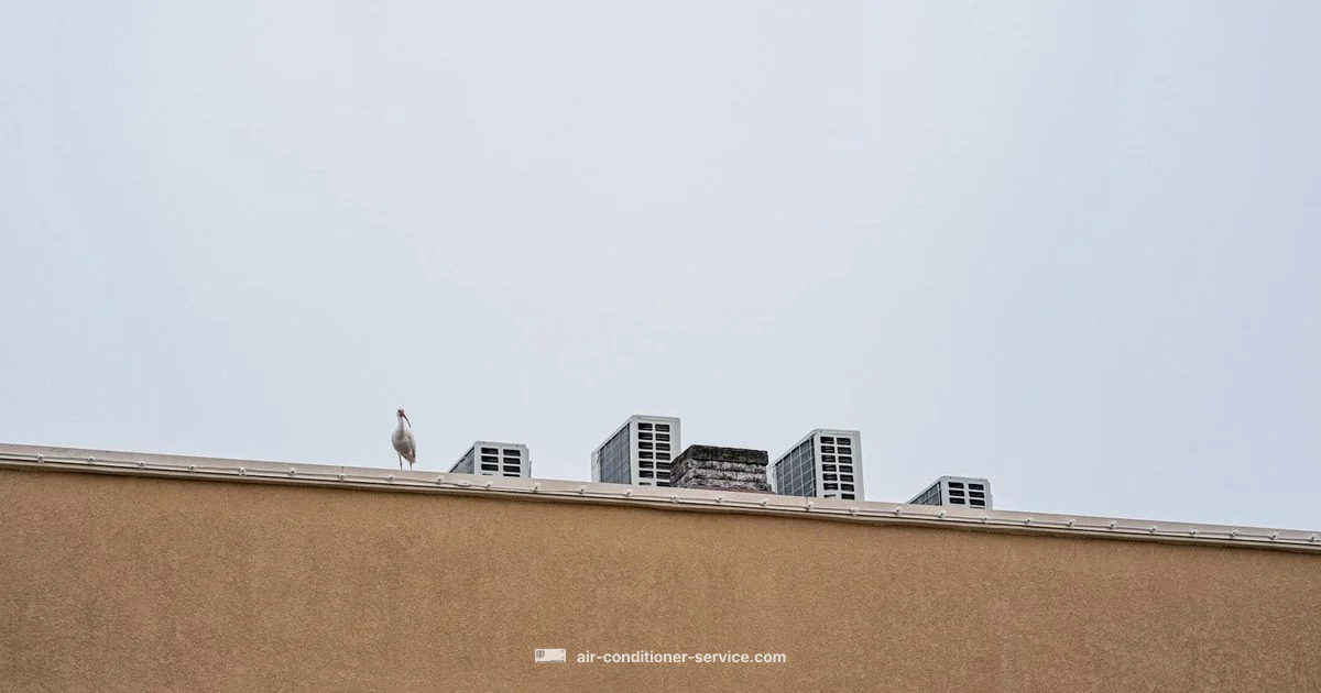 Package Unit HVAC Guide - Air Conditioner Service