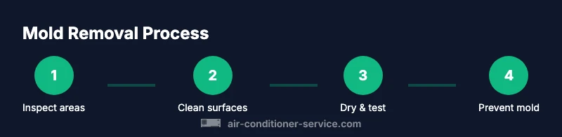Process infographic for mold removal steps