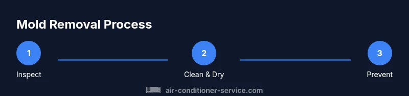 Process flow for removing mold from an air conditioner