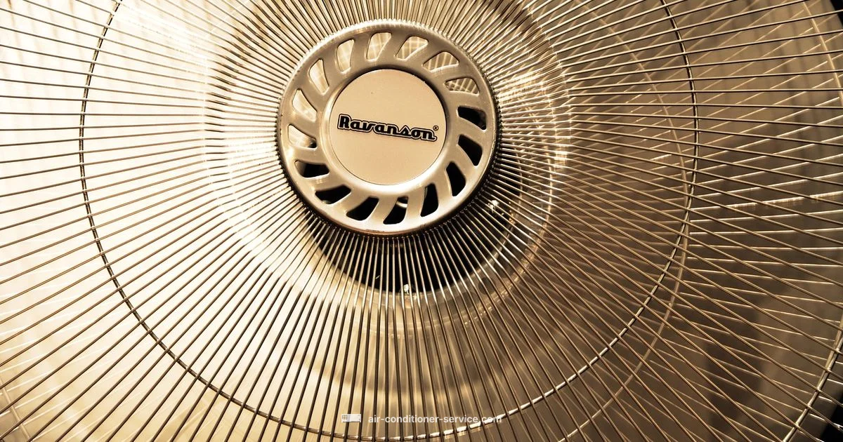 Air Conditioner Basics Air Conditioner Basics - Air Conditioner Service