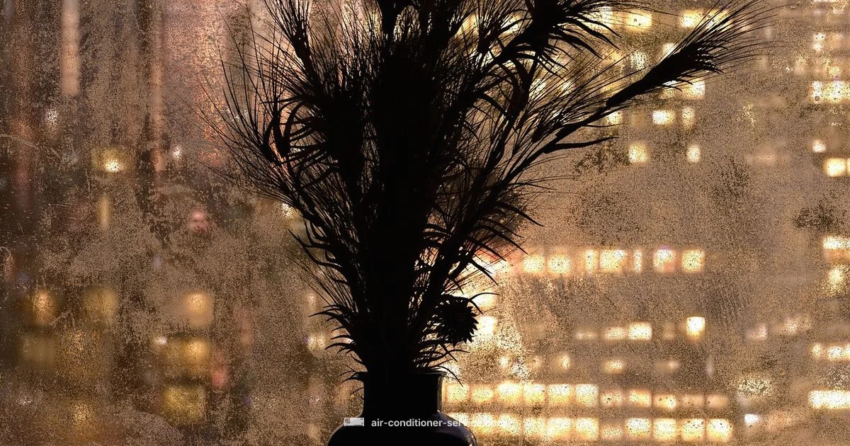 Rainy Day AC Safety - Air Conditioner Service