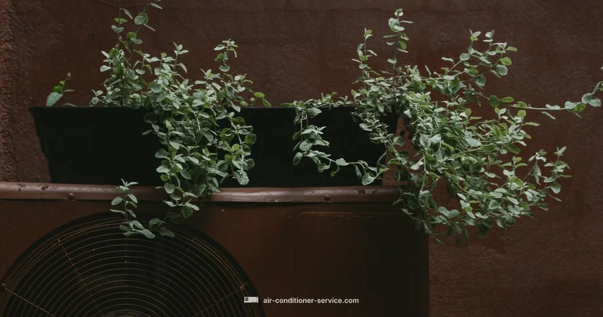 Air Conditioner Water Basics Air Conditioner Water Basics - Air Conditioner Service