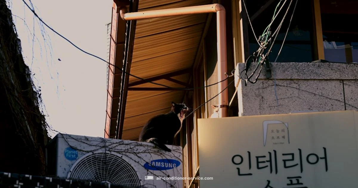 Recharge Guide - Air Conditioner Service