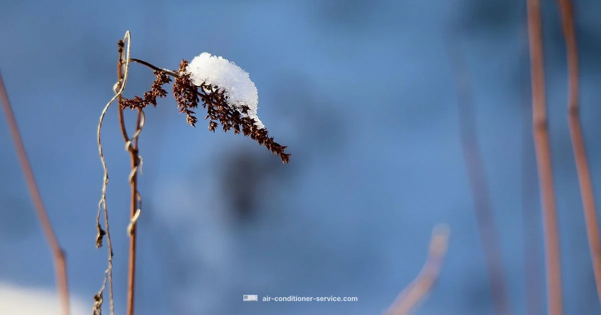 AC Cover Guide - Air Conditioner Service