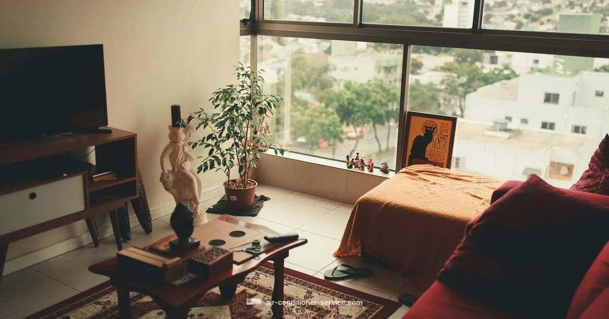 Budget Window Picks - Air Conditioner Service