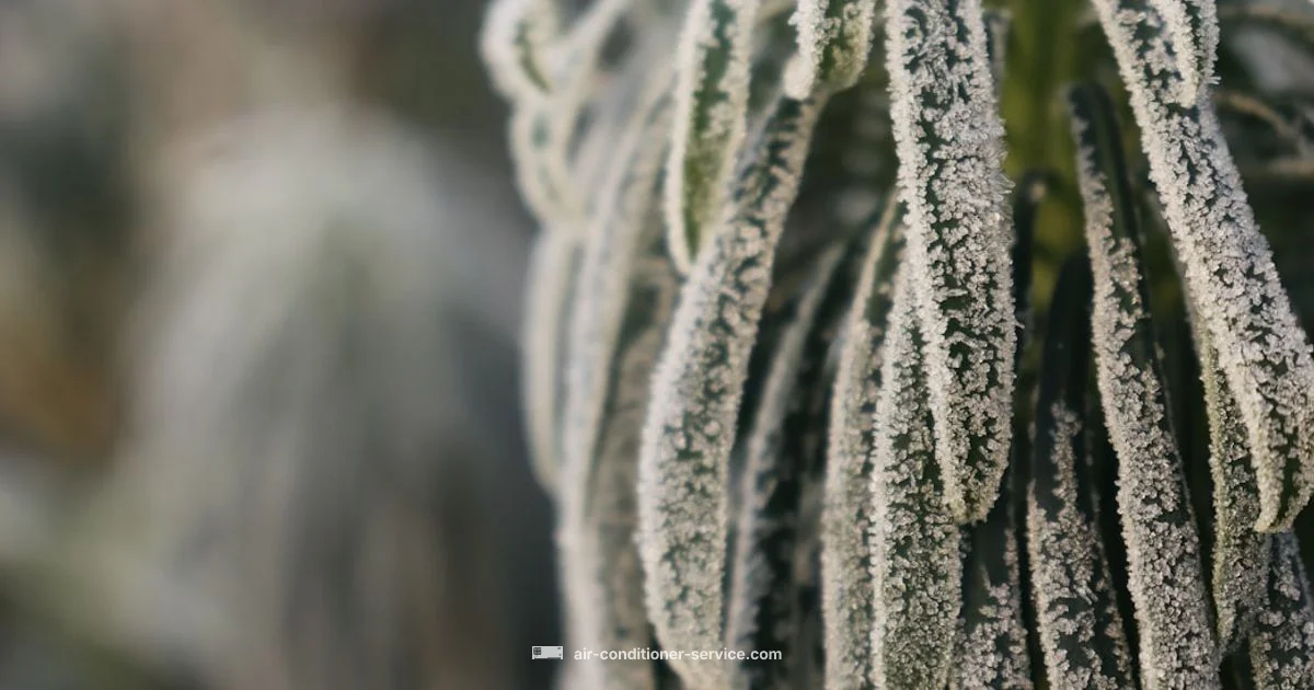 Freeze Fix Guide Freeze Fix Guide - Air Conditioner Service