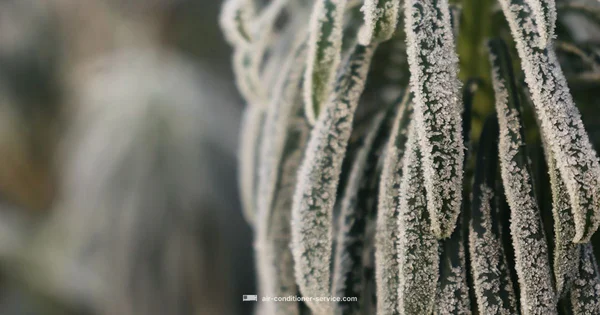 Freeze Fix Guide - Air Conditioner Service