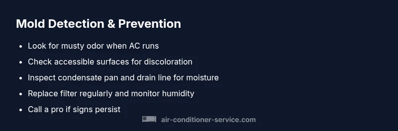 Infographic checklist for mold detection in air conditioner