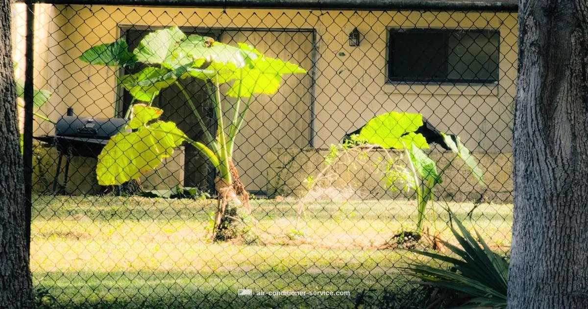 Used A/C Guide - Air Conditioner Service