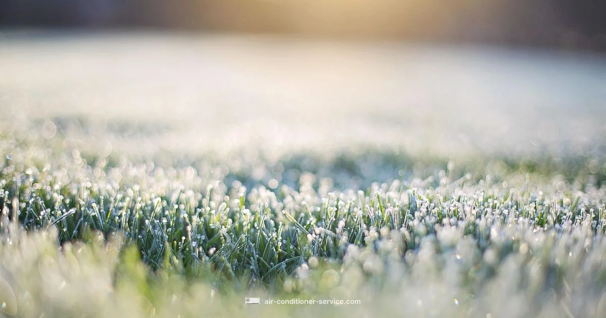 Frozen Coils Guide Frozen Coils Guide - Air Conditioner Service